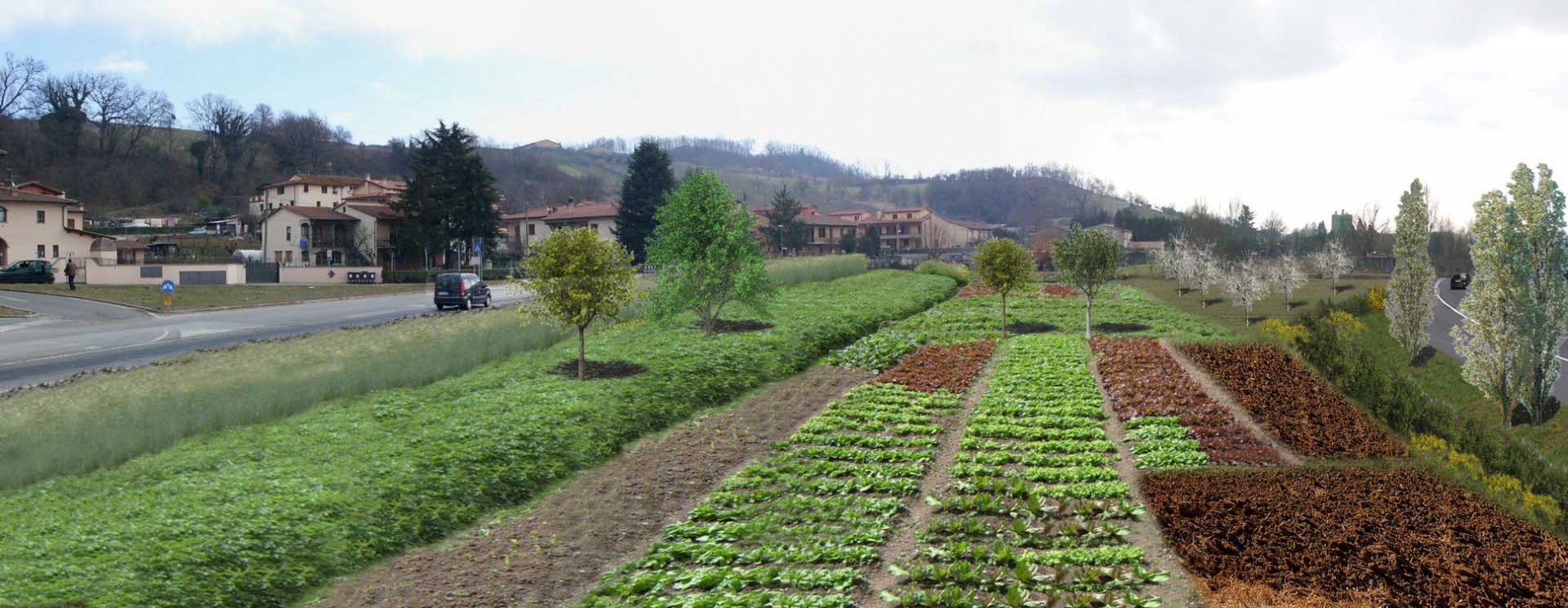 9_zona_orti_dopo